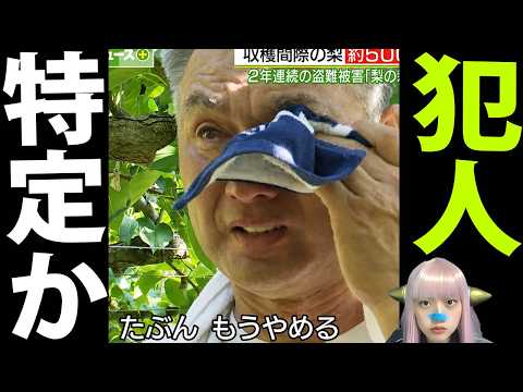 速報！梨泥棒の被害者、緊急声明！梨5000個盗難で特定班が大暴走！犯人プロ集団の真相！幸水