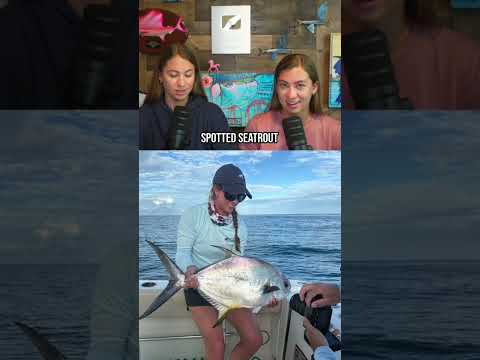 Every fish we've ever caught in Florida video thumbnail