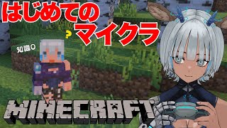 【Minecraft】はじめてのマイクラ！知識0なので教えてください🫎【#鹿火璃みろく／新人Vtuber】