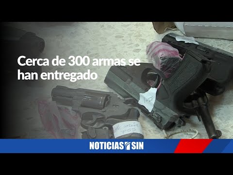 Chú Vásquez: Cerca de 300 armas se han entregado