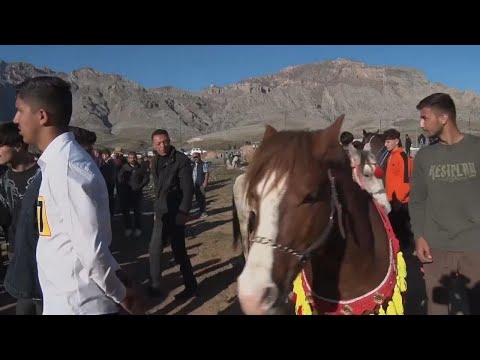 Horses gallop for the win at race held near picturesque mountains in Kurdish region of Iraq
