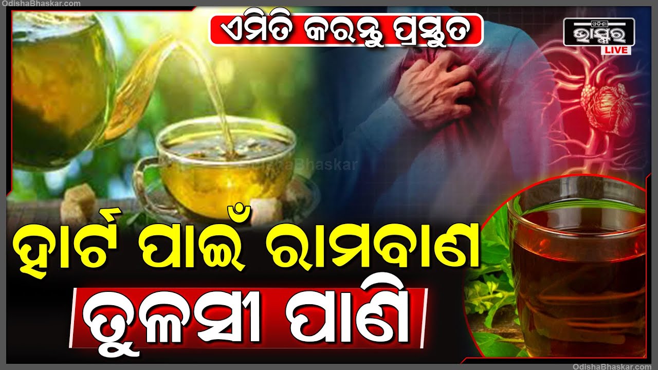 ହାର୍ଟ ରୋଗରେ ପୀଡିତ ଥିଲେ ପିଅନ୍ତୁ ତୁଳସୀ ପାଣି, 7 ଦିନରେ ଦେଖିବେ ଫରକ | ଦେଖନ୍ତୁ କେମିତି କରିବେ ପ୍ରସ୍ତୁତ