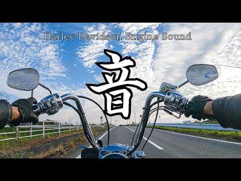 【高音質】エンジン音 ハーレーダビッドソン　ソフテイル　Harley Davidson Engine Sound