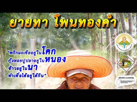 ผู้นำการเปลี่ยนแปลง-ประสบการณ์ ผู้นำการเปลี่ยนแปลง-ประสบการณ์