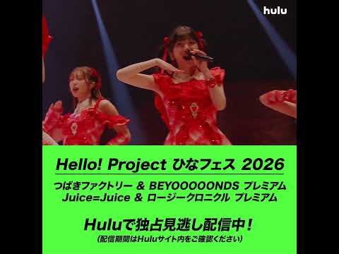 【ライブ映像】「Hello! Project ひなフェス 2026」｜Huluで独占見逃し配信中