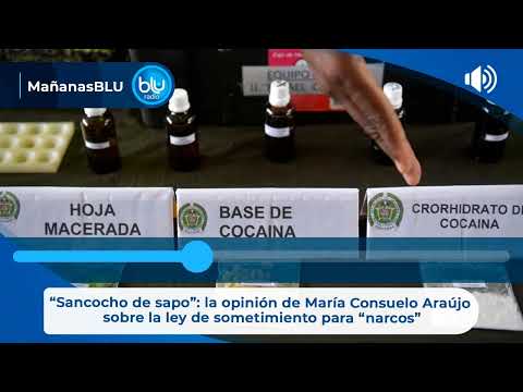 Sancocho de sapo: la opinión de María Consuelo Araújo sobre la ley de sometimiento para narcos