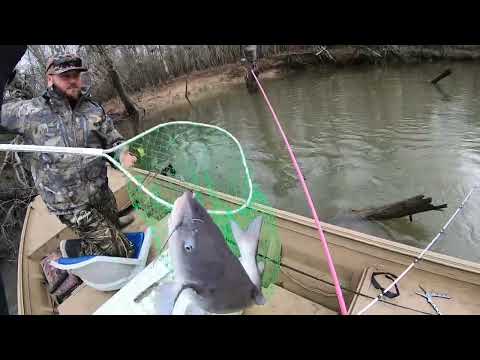 CATFISHING THE SANTEE RIVER!!!