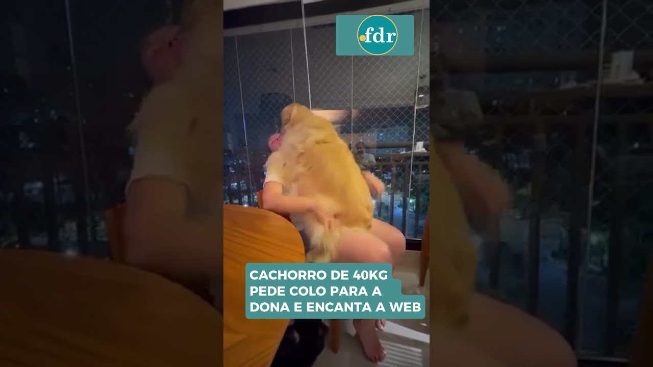 Tamanho não é documento quando o assunto é carinho