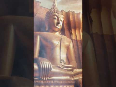 อย่าเสียเวลาคำคมBuddhaคติธร