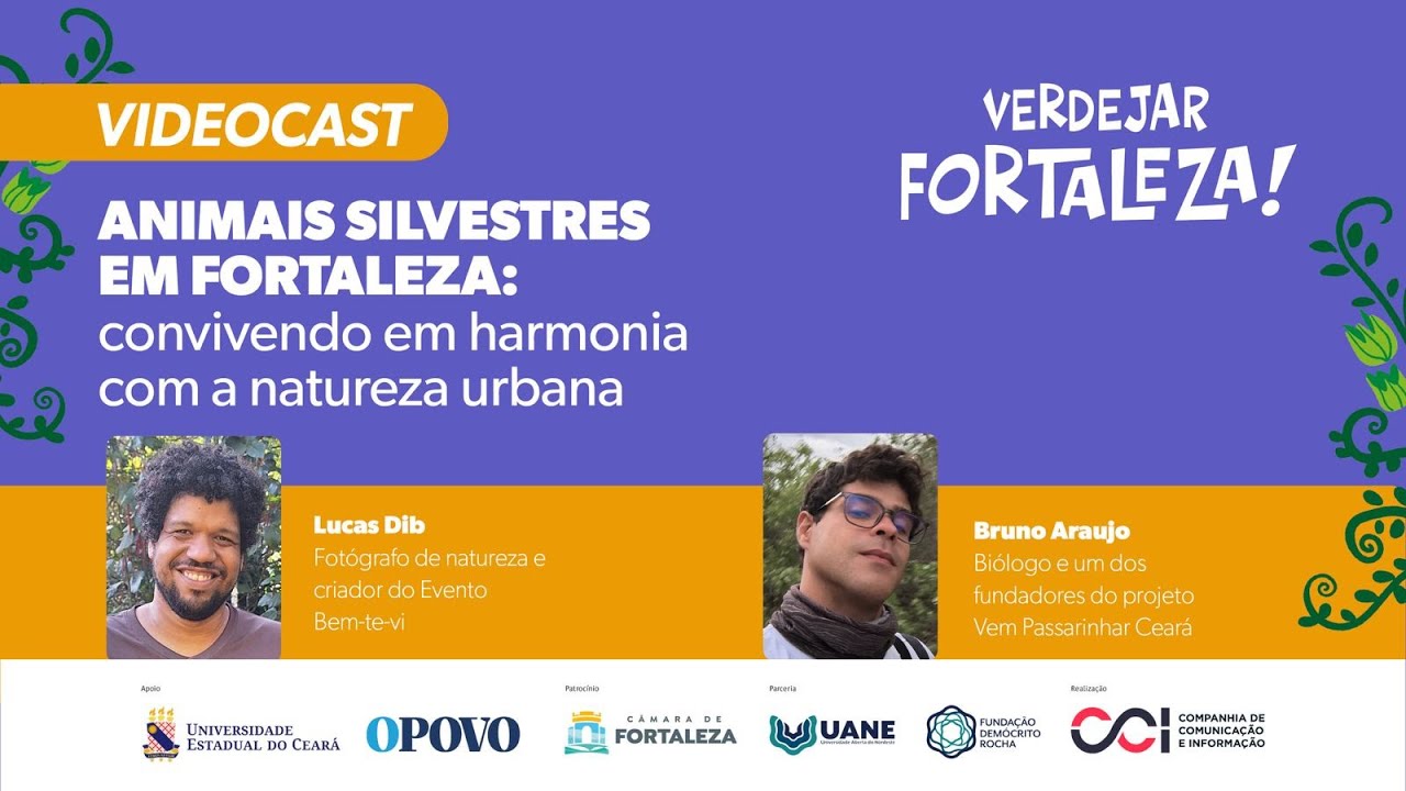 Animais silvestres em Fortaleza convivendo em harmonia com a natureza urbana