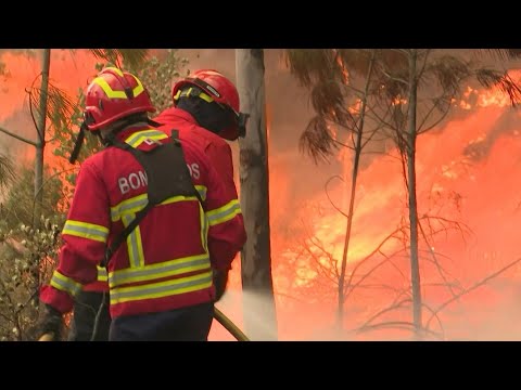Portugal battles to contain wildfire in north | AFP