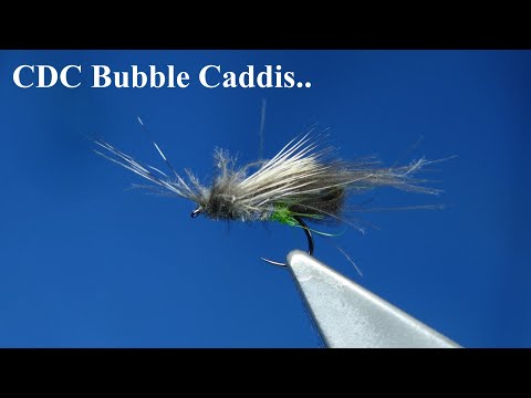 The First Caddis to Hatch on the Rivers and Lochs.