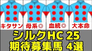 【シルクレーシング】2025年度募集期待馬4頭を評価【シルク募集】