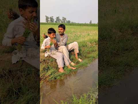 Garib ki bhook aur roti #shorts