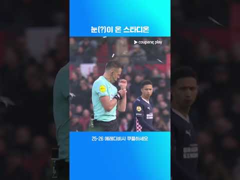 꽃가루에 인해 킥오프가 지연되는 경기 l 에레디비시 I 페예노르트 vs PSV