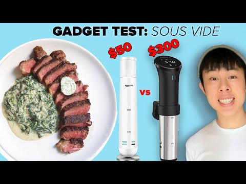 I Compared $50 and $300 Sous Vide Machines With Steak ? Tasty