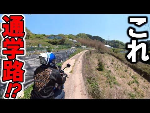 酷道走ったら学校の通学路だった？【GSX-S1000GT モトブログ 1080p】