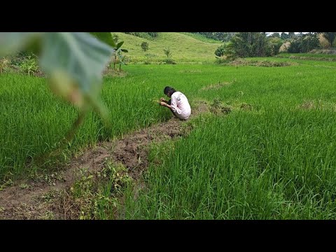 メロディが苦難を乗り超えて戻ってきた！！皆様の善意を渡しました