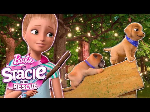 Barbie Hundewelpen Hindernislauf!  | Film Clip | Barbie und Stacie – Eine Schwester für alle Fälle