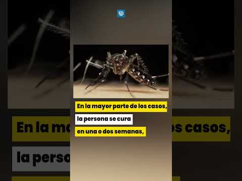 Alerta sanitaria en siete regiones por el dengue, zica y malaria