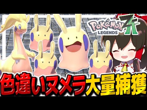 【レジェンズZA】おやぶん色違いヌメラも簡単ゲット!色違いヌメラ大量ゲットで幸せすぎた!!【ゆっくり実況/ポケモンレジェンズZ-A】