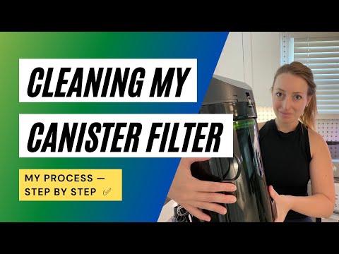 Cleaning My Canister Filter — Tips & Tricks to  Hello, fish friends!  In the past, I've shared several videos of how I clean my canister filters ove