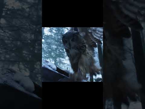 Underrated Scene from A Cat’s Life