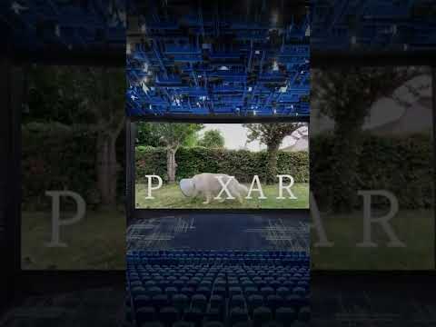 📽️ Pixar Pet by Life of Kaix