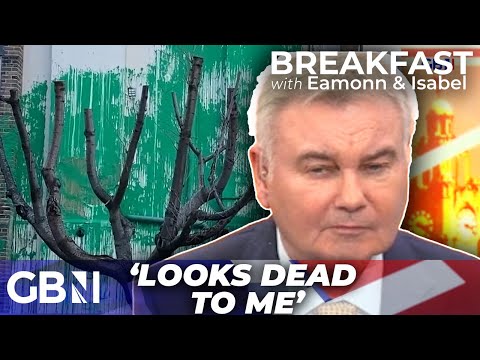 Eamonn Holmes slams new Banksy artwork | 'It looks dead to me!'