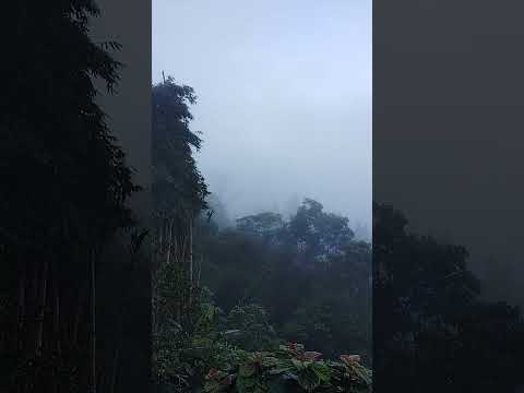 The weather of Kalimpong #trending #nature #weather #kalimpong #ytshorts