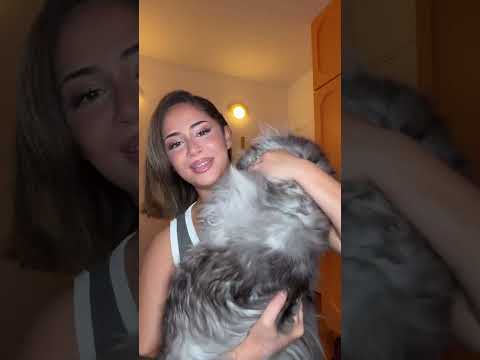 sanama 🧽 #shorts #short #sanama