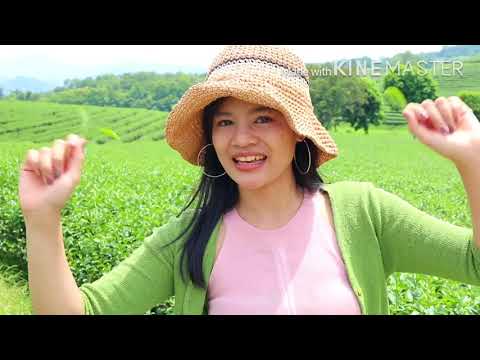Ep1-ไร่ชาฉุยฟง🍃🌱🍃 Ep1-ไร่ชาฉุยฟง🍃🌱🍃