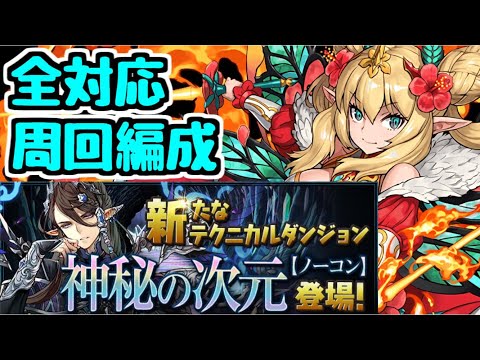 【パズドラ】神秘の次元 全対応ロザリンパ 編成＆立ち回り解説！ アルバートの希石を集めよう！！