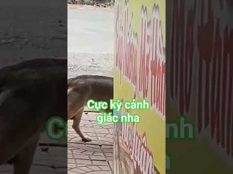 nên cảnh giác nha a chị em