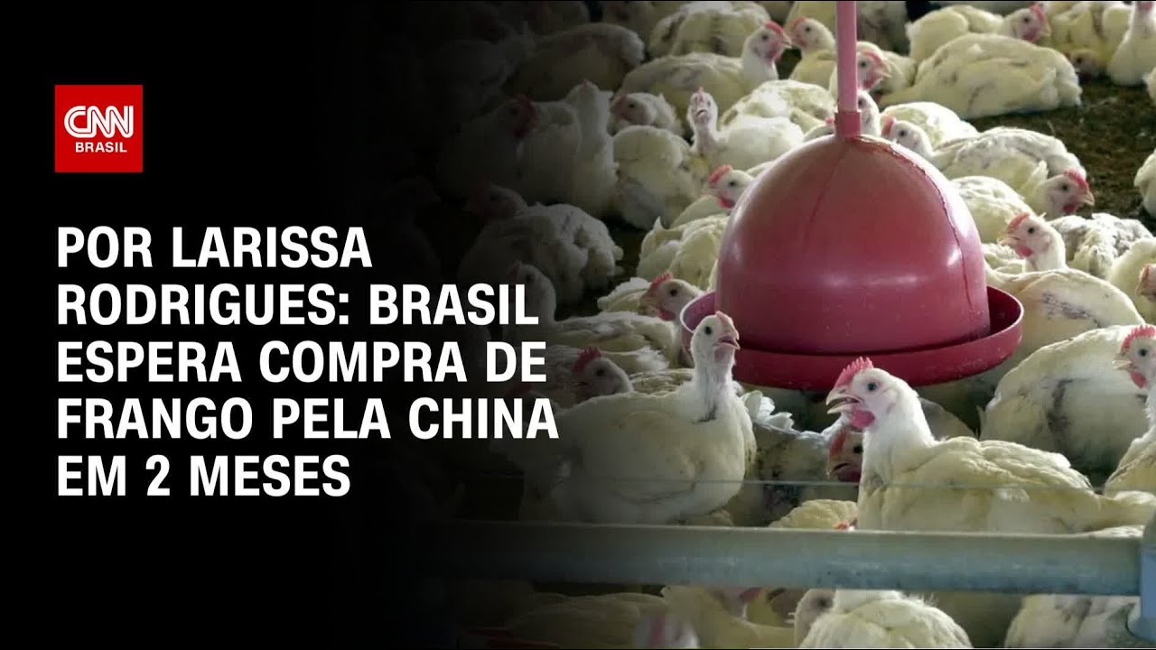 Brasil espera compra de frango pela China em 2 meses | LIVE CNN