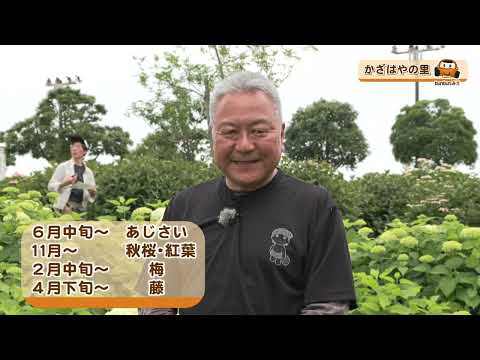 bun bun みえ　四季折々の花が楽しめるかざはやの里