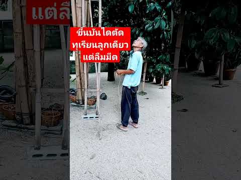 ขึ้นบันไดตัดทุเรียนลูกเดียวแต่