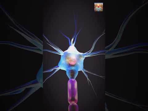 #fypシ゚viral #islamicstoriesinurduandhindi #vairal #shirts #shotsfeed