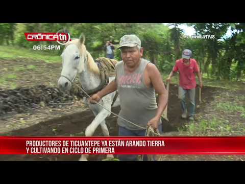 Productores de Ticuantepe trabajan la tierra con optimismo – Nicaragua