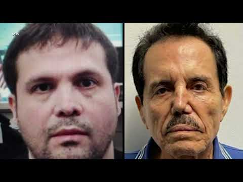 Mexican attorney claims El Chapo's son and El Mayo 'voluntarily surrendered' to American authorities