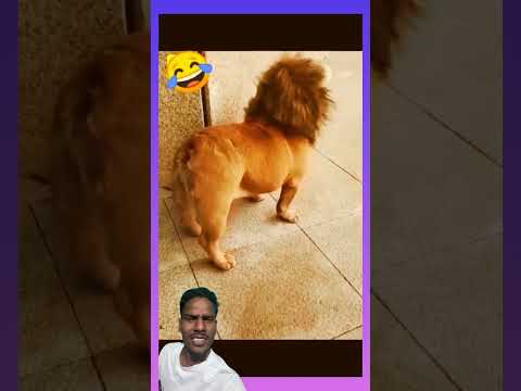 #funny #ekmotahathighumechala #comedy 😂😂😂🫵