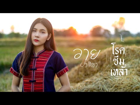 โรคซึมเหล้า-อายปาลิตา【Cover