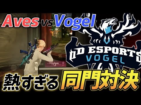 【荒野行動】久しぶりの同門対決!!猛者ゲリラ最終盤の"Aves"vs"Vogel"が激熱すぎたｗｗｗｗｗ