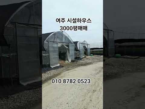 여주 시설하우스 3천평매매 수막시설완비 강추