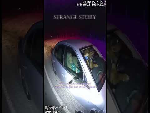 Police Bodycam: Giant Retriever's EPIC Welcome During Routine Traffic Stop!