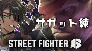 【ストリートファイター6】サガット使いになります【荒咬オウガ /ホロスターズ】