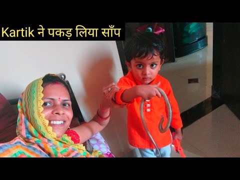 छोटी सी उम्र मे कार्तिक ने पकड़ लिया सांप🐉 #SANEK