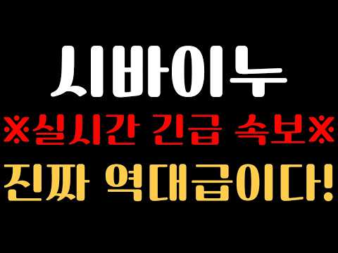 [시바이누 코인 분석] ※실시간 긴급 속보※ 진짜 역대급입니다..!!