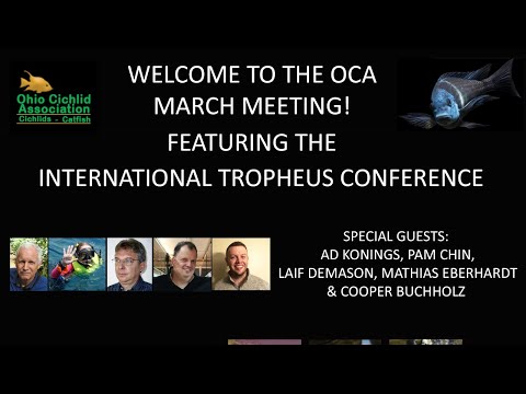 Ohio Cichlid Association Presents_ The Internation This is the LiveStream Link for the March OCA meeting live with honored guests Ad Konings, Pam Chin,