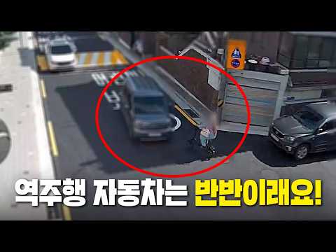 28365회. 우회전하던 자전거와 역주행으로 오던 자동차의 사고! 이게 반반인가요?